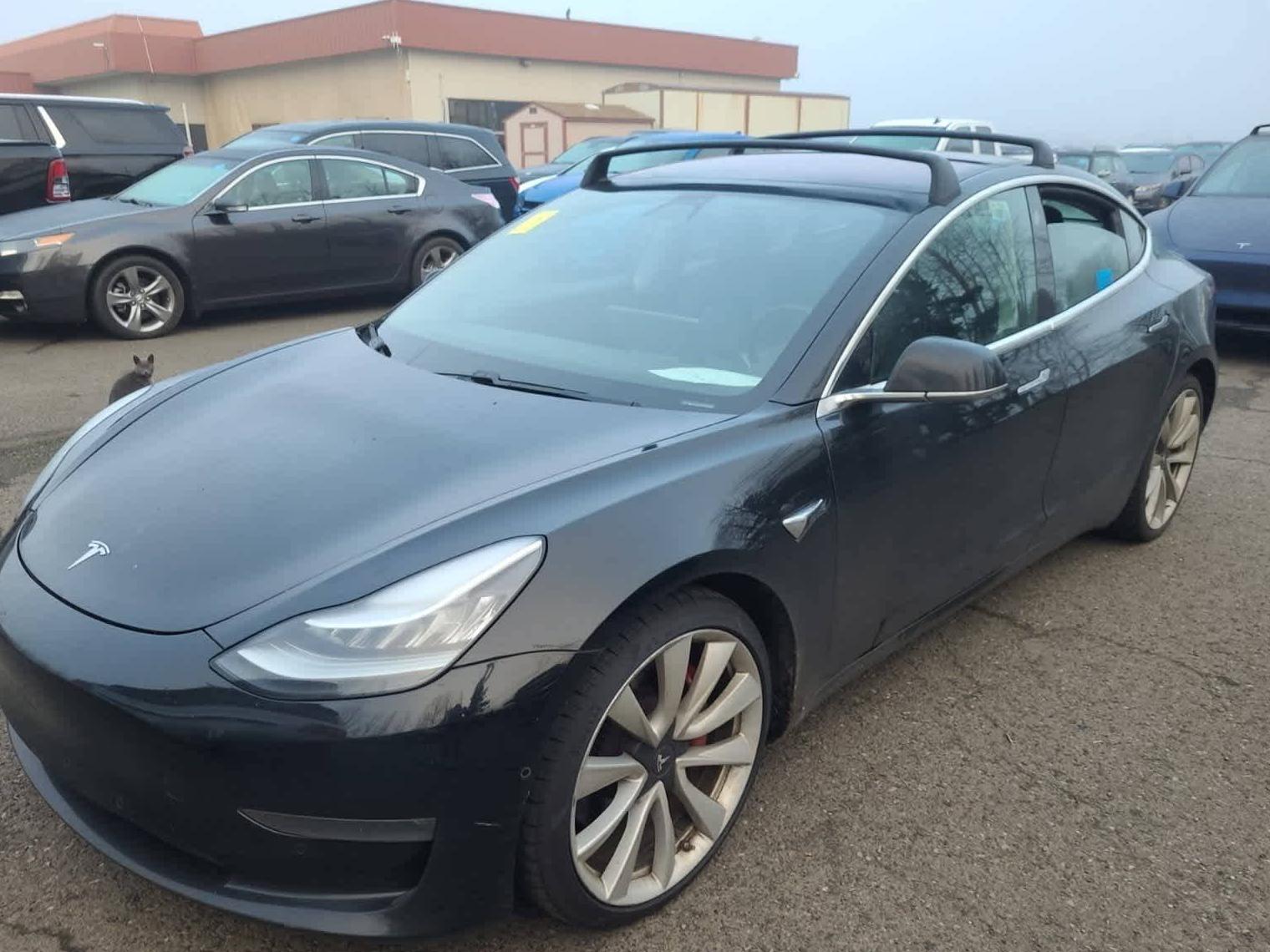 TESLA MODEL 3 2018 5YJ3E1EB7JF082469 image